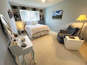 Bedroom with carpet flooring