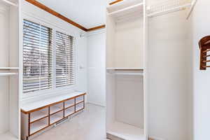 Walk in closet featuring light colored carpet