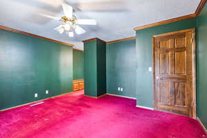 Empty room with crown molding, carpet, ceiling fan, and a textured ceiling