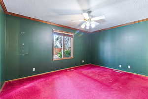 Carpeted spare room featuring ornamental molding, a ceiling fan, and a textured ceiling
