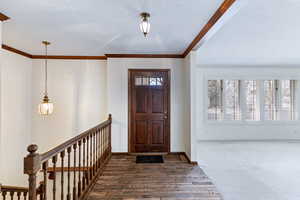 Foyer with dark wood finished floors, ornamental molding, a textured ceiling, and dark carpet