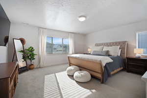 Bedroom featuring light colored carpet and a textured ceiling