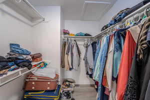 Walk in closet featuring attic access and light wood-style flooring
