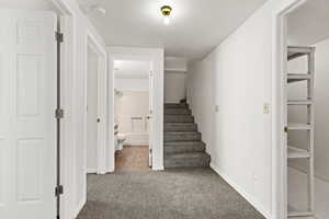 Stairway featuring a textured ceiling and carpet floors