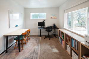 Office area with light carpet and baseboards