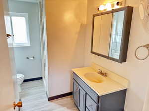 Full bathroom featuring vanity, light wood-style floors, and a stall shower