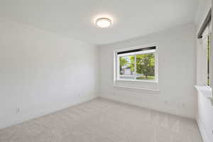 Main floor bedroom featuring large windows, custom roller shades, plush carpet and light paint