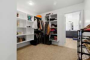 Walk in closet with light carpet