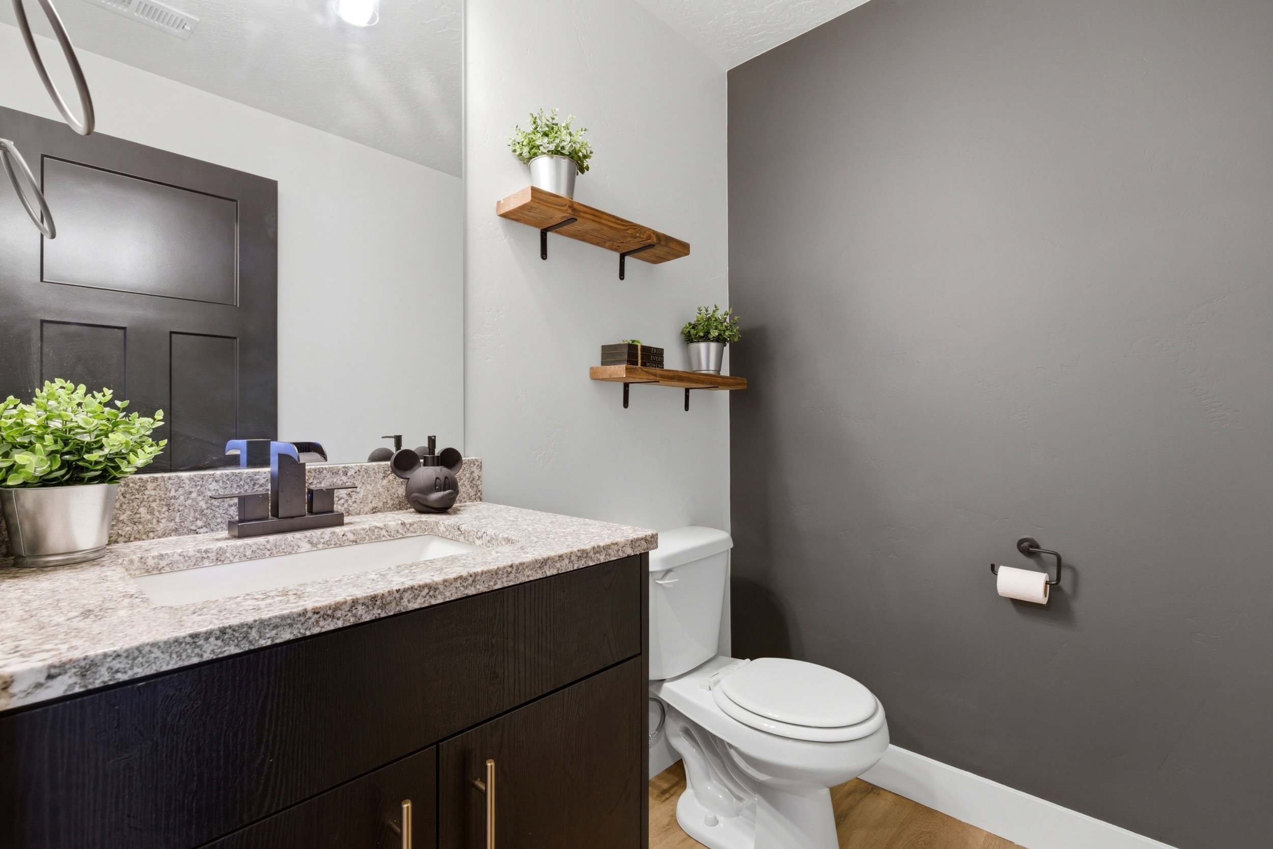Half bath with vanity and light wood-type flooring