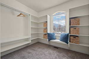 Walk in closet featuring light carpet