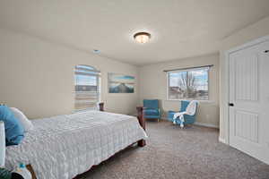 Bedroom featuring carpet and a textured ceiling