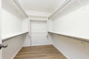 Walk in closet featuring light wood-style flooring