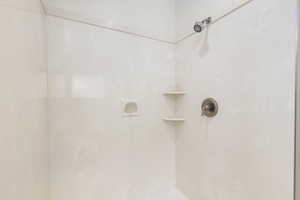 Bathroom view of a walk in shower