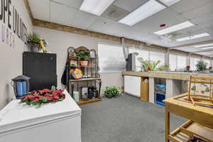 Miscellaneous room featuring a drop ceiling and light carpet