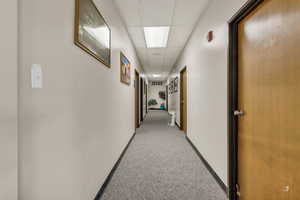 Corridor with a drop ceiling and light carpet