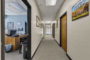 Hall with a paneled ceiling and light carpet