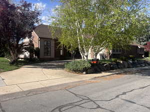 Obstructed view of property with driveway, a shingled roof, and brick siding