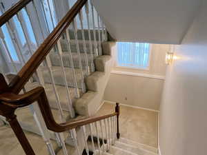 Stairs featuring carpet floors and baseboards