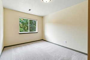 Empty room featuring light carpet and a textured ceiling