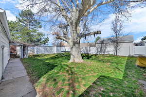 Fenced backyard featuring a trampoline