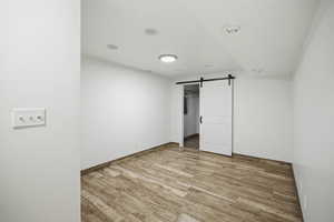 Basement bedroom with large walk in closet and wood-look flooring