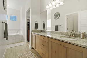 Full bath featuring double vanity, a garden tub, and healthy amount of natural light