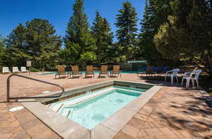 Community pool with a community hot tub and a patio area