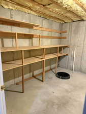 View of unfinished basement