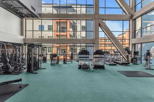 Workout area/Gym