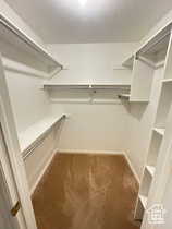 Walk in closet with dark colored carpet