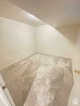 Additional living space featuring carpet floors and vaulted ceiling