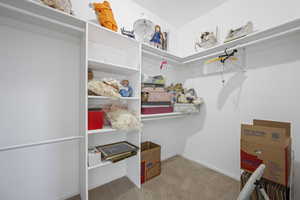Walk in closet with light carpet