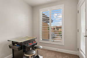 Playroom featuring baseboards and carpet flooring