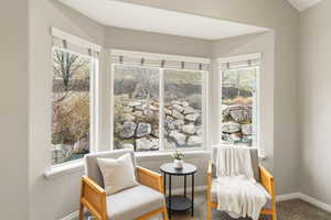 Master bedroom bay windows featuring healthy amount of natural light and carpet floors