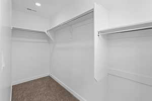 Walk in closet featuring dark carpet