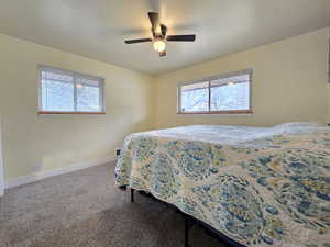 Bedroom with multiple windows, dark colored carpet, and ceiling fan