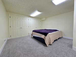 Carpeted bedroom with two closets, a textured ceiling, and wooden walls