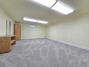 Finished below grade area featuring a textured ceiling, light carpet, wooden walls, and a heating unit