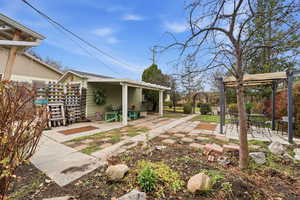 View of yard featuring a pergola and a patio area