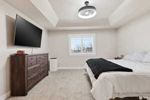 Bedroom featuring light colored carpet and a raised ceiling
