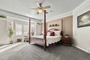Spacious primary bedroom featuring carpet floors, multiple windows, ceiling rim lighting, and a ceiling fan
