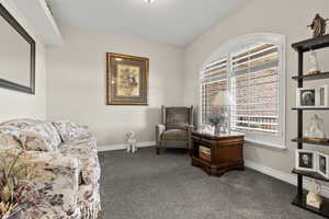 Living area featuring window shutters and dark colored carpet