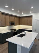 Kitchen with stainless steel appliances, dark wood-style floors, an island with sink, recessed lighting, and light stone counters