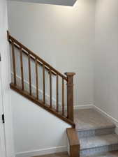 Stairs featuring baseboards and carpet floors