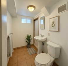 Basement bath with step-in shower