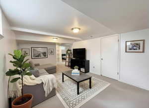 Large basement family room  adjacent to XL storage/laundry room