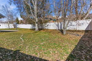 View of fenced backyard