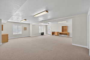 Huge Basement Family room with light colored carpet and a textured ceiling with Daylight windows and entrance