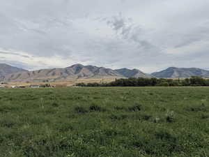 View to the east