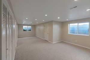 Large family Room or bedroom in basement